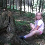 phoca_thumb_m_2. den vp  26 Fotogalerie